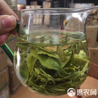 大叶种茶 2020年头水春茶、蒸青雪龙!