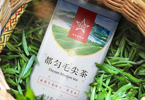 国内十大名优绿茶品牌汇总 想买春茶 不太懂茶的小白看过来